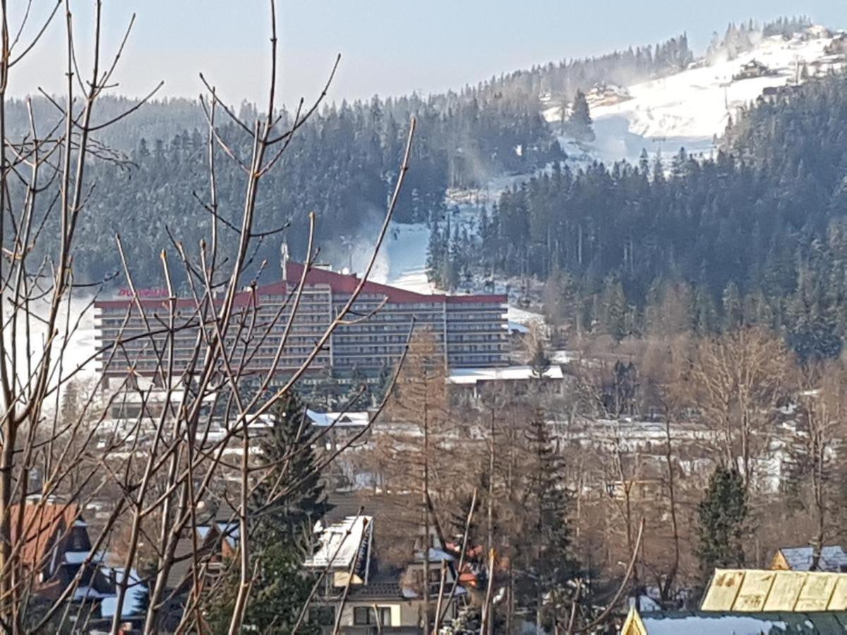 Pensjonat U Barbary I Jacka Zakopane Esterno foto